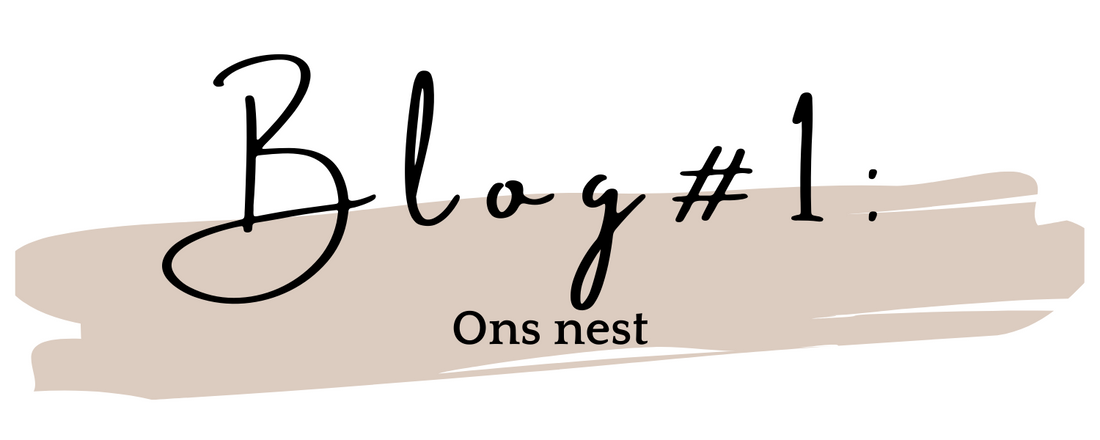 BLOG #1: Ons nest