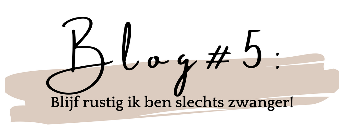BLOG #5: Blijf rustig ik ben slechts zwanger!